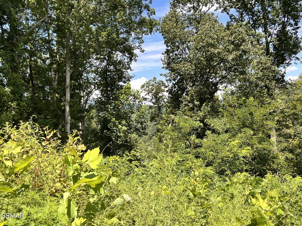 2 Lots Loop Road, Gatlinburg
