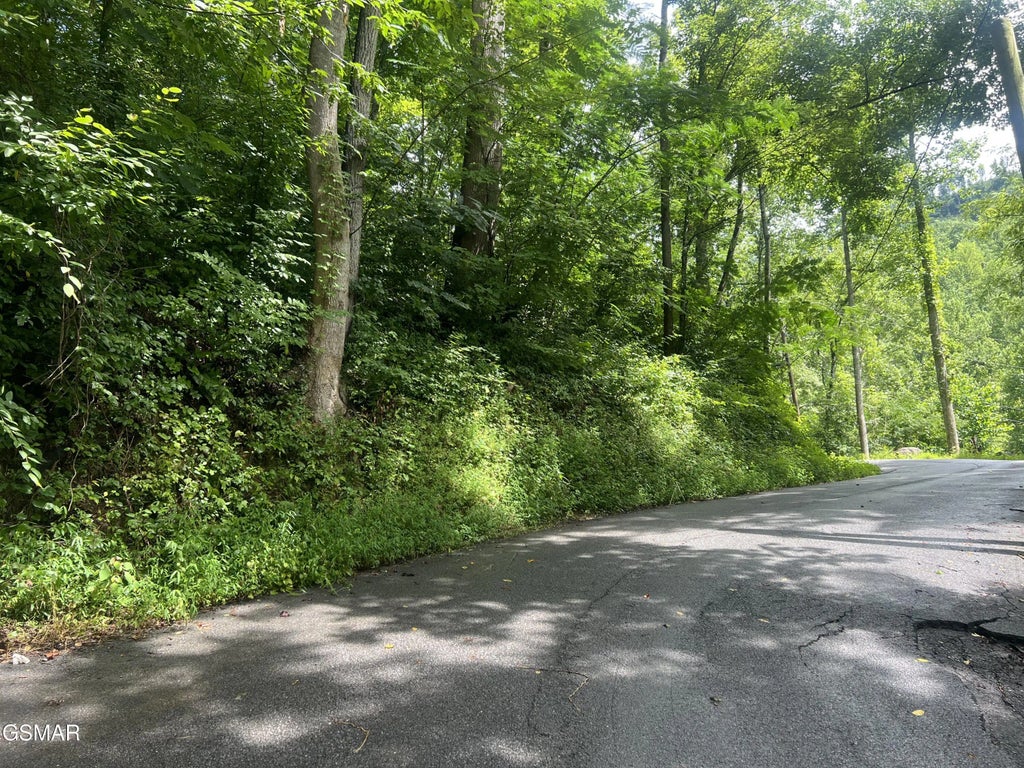 752 Loop Road, Gatlinburg