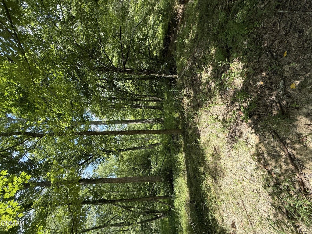 Loraine Street, Pigeon Forge