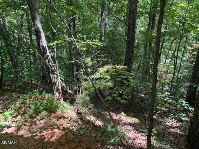 Lot 1302 Balsam Circle, Sevierville