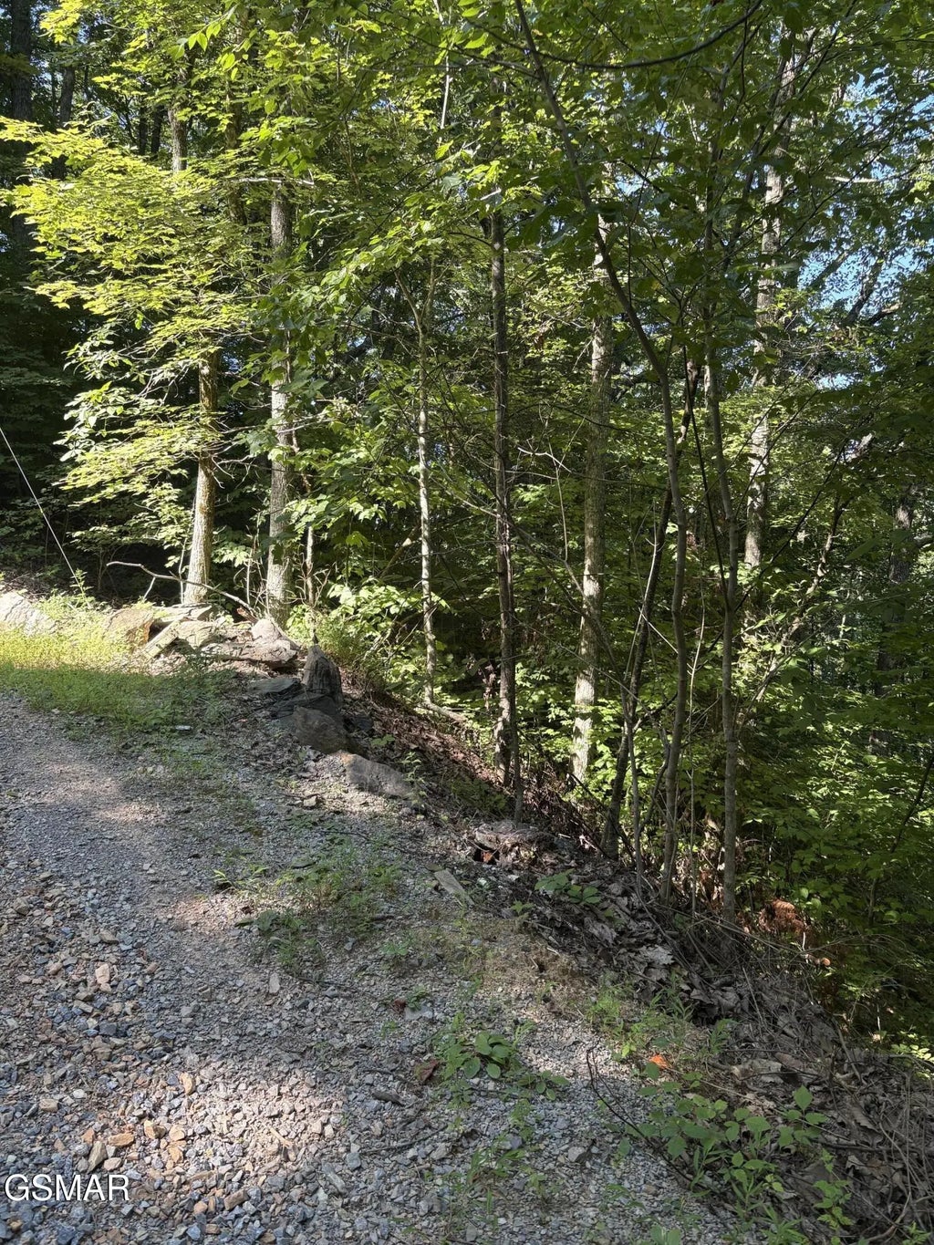 Castle Rise Way, Sevierville