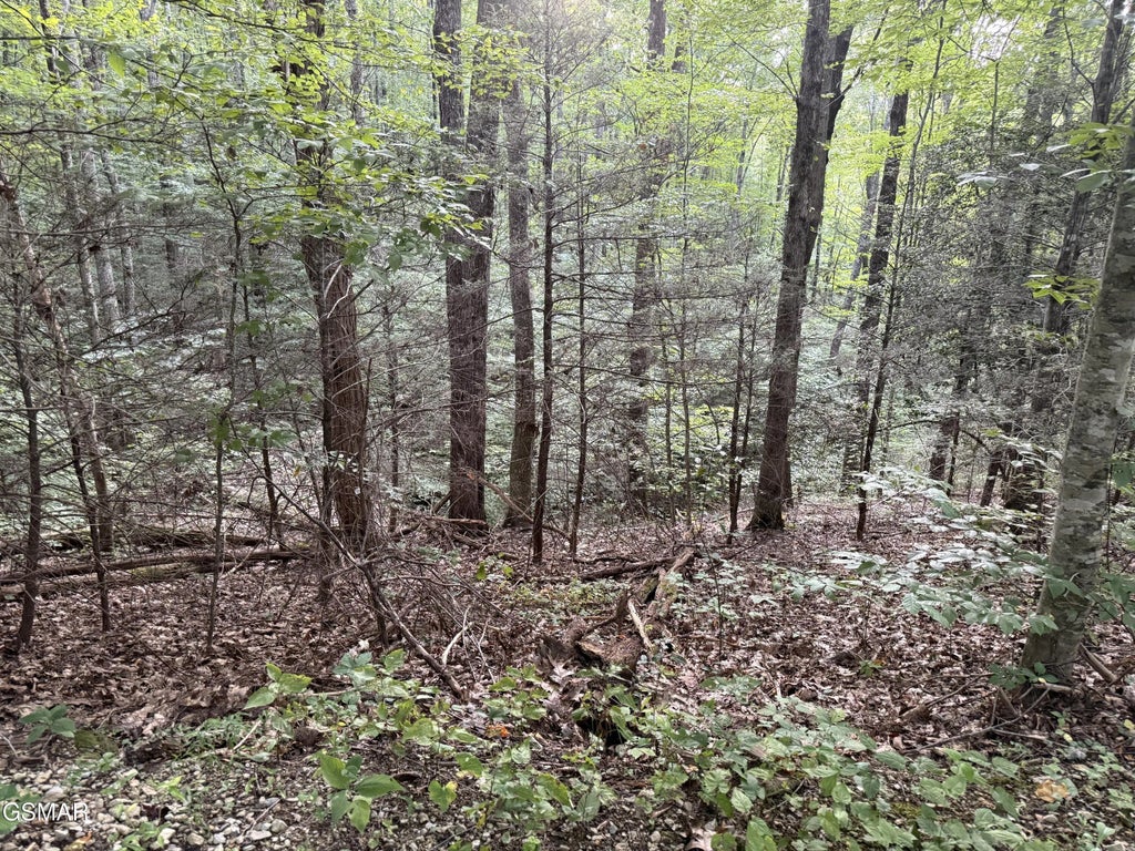 Lot 26 Walden Cove Way, Sevierville