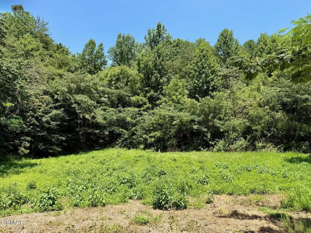 Lot 0000 Ogle Drive, Pigeon Forge