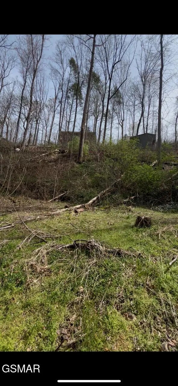 341 Silverbell Ln., Gatlinburg