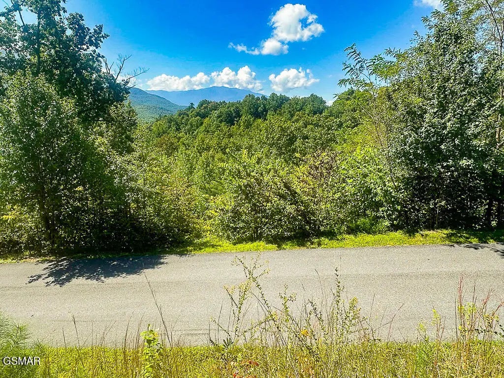 Lot 78 Vixen Run, Gatlinburg
