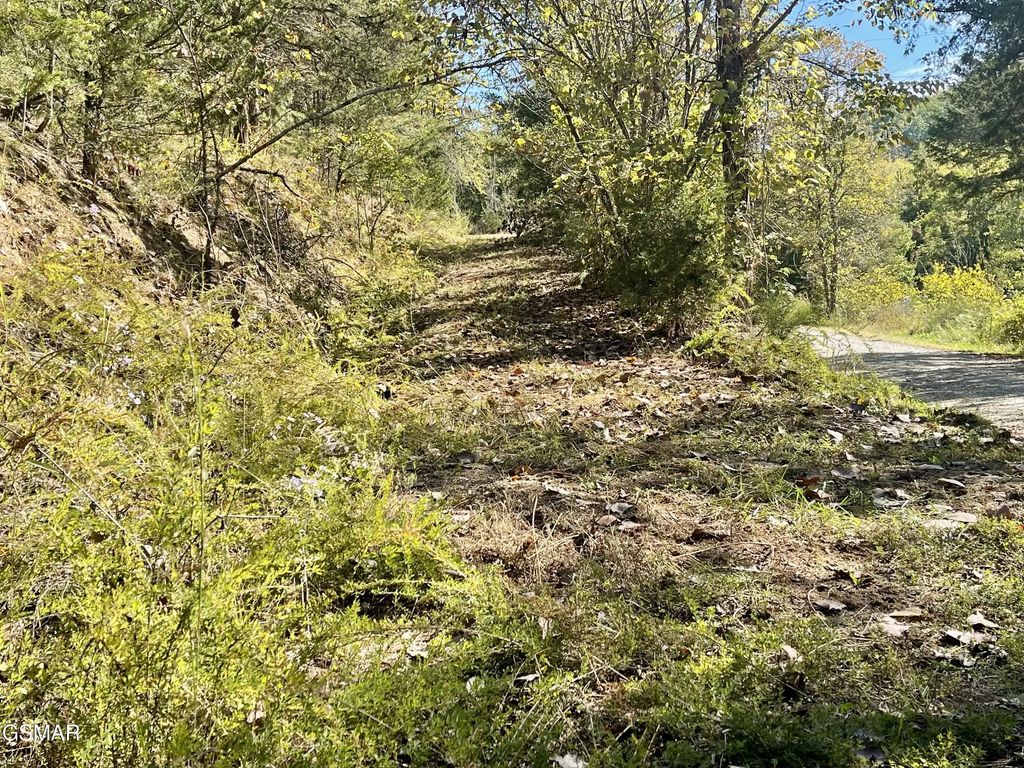 Thurman Road, Newport