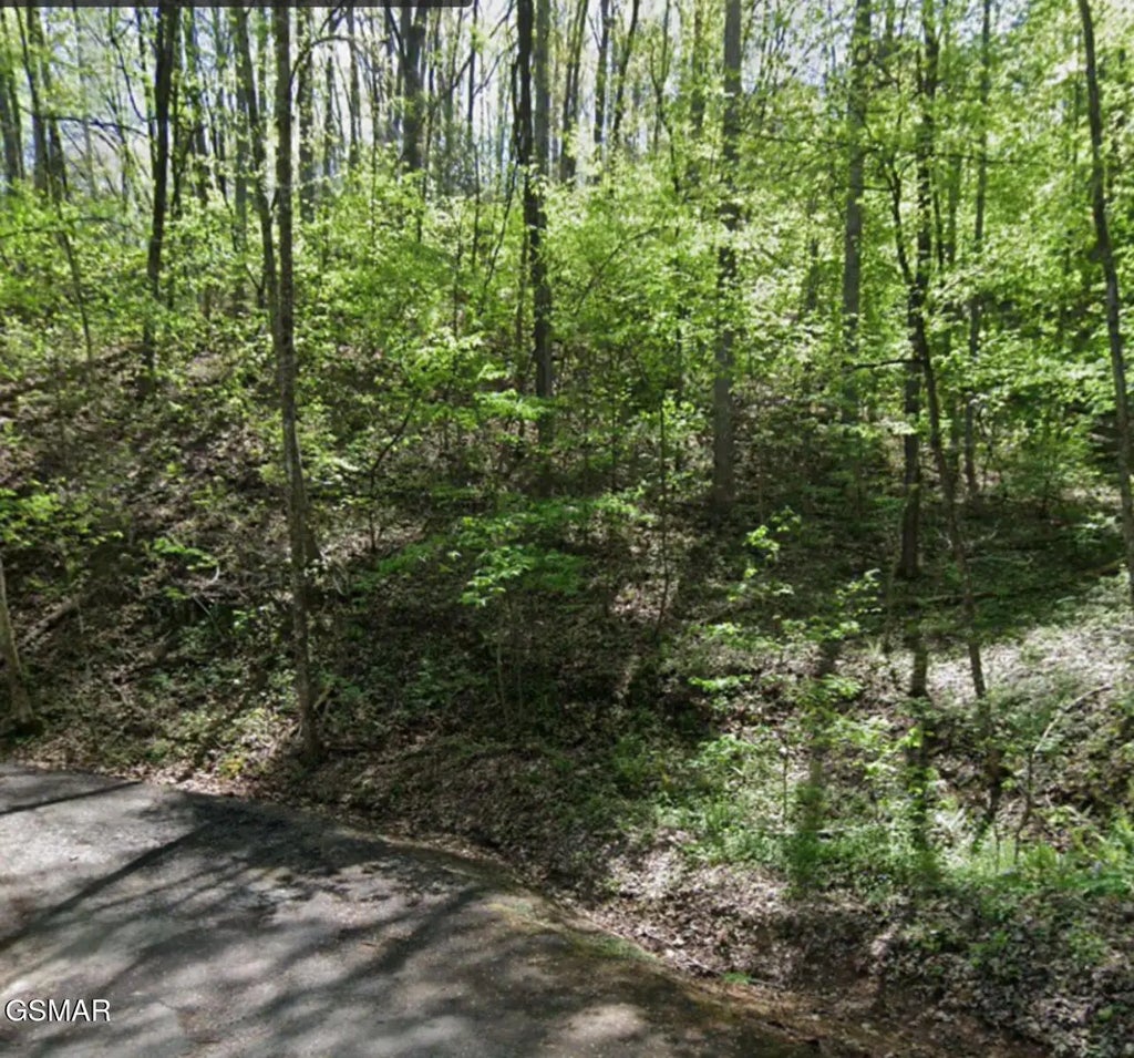 Lot 331 Ridgefield Drive, Sevierville