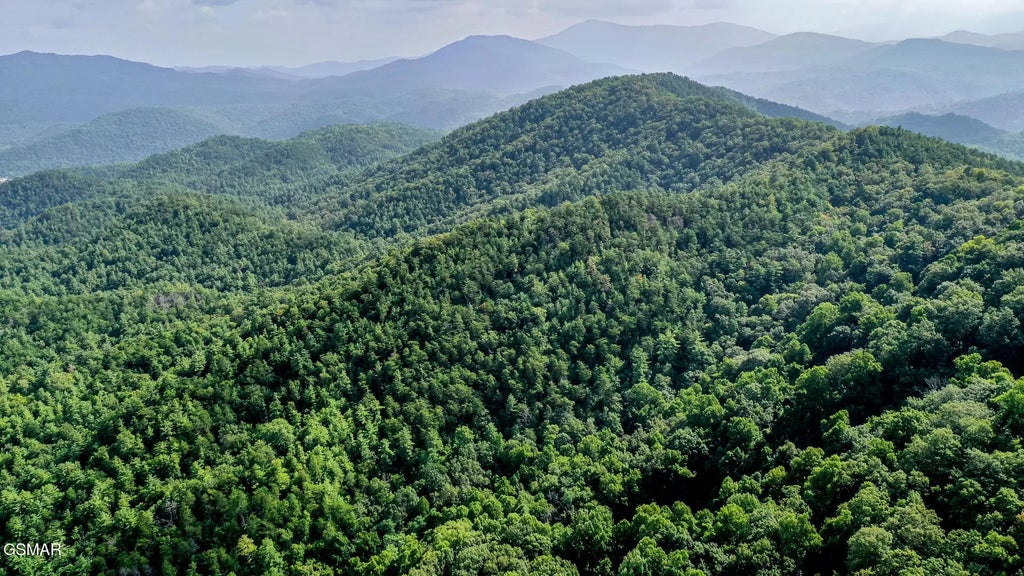 Bethel Church Road, Townsend