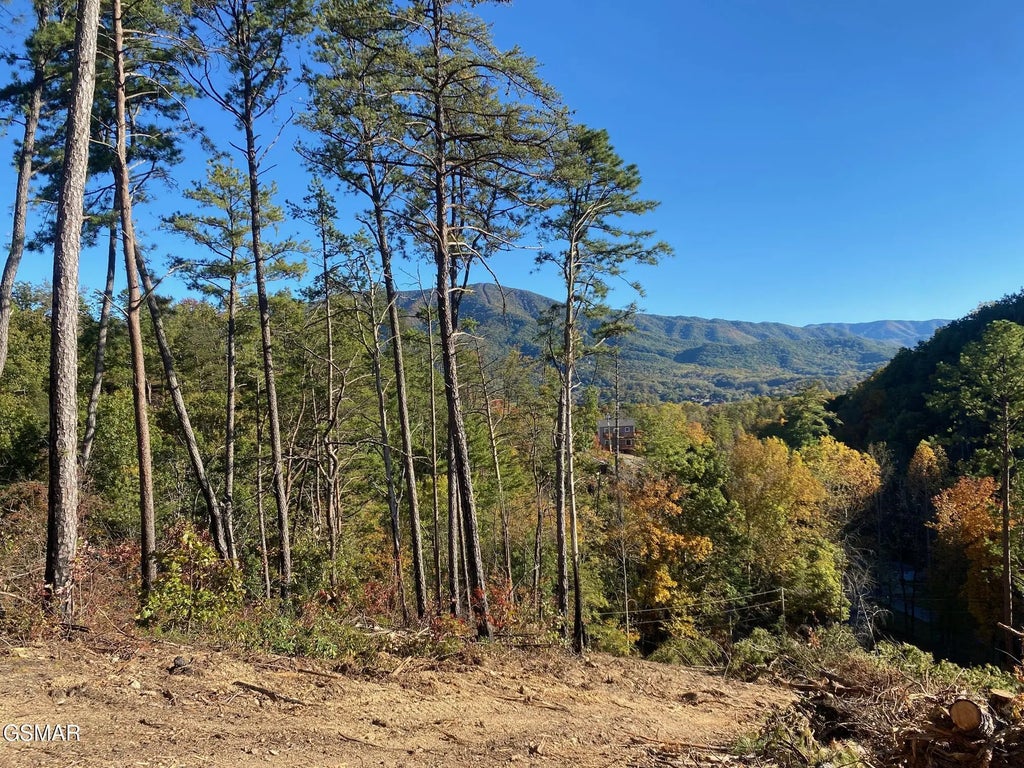 2947 Indigo Lane, Sevierville
