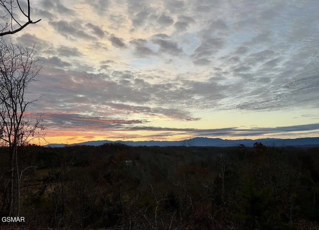 O Happy Creek Road, Seymour