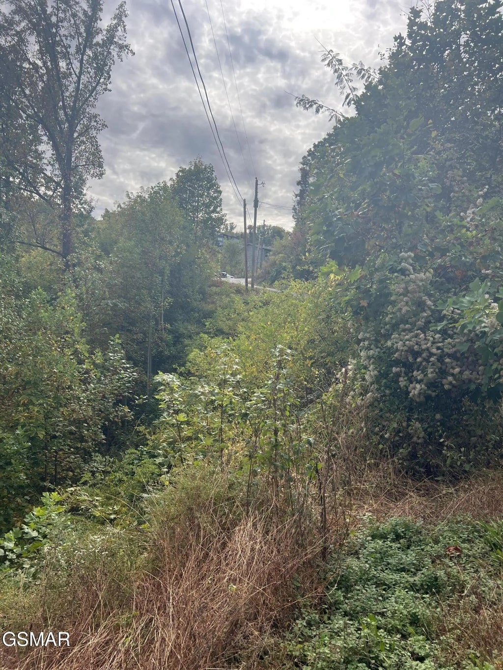 Lot 507 Pinecrest Drive, Gatlinburg