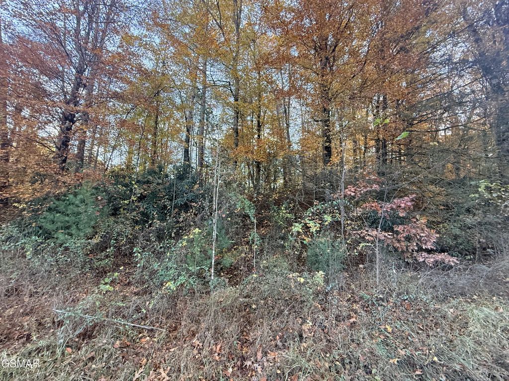 Lot 42/43 Deerfoot Road, Newport
