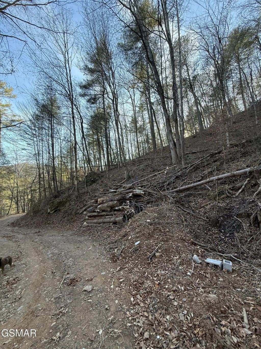Lot 20 Meadow View Road, Sevierville