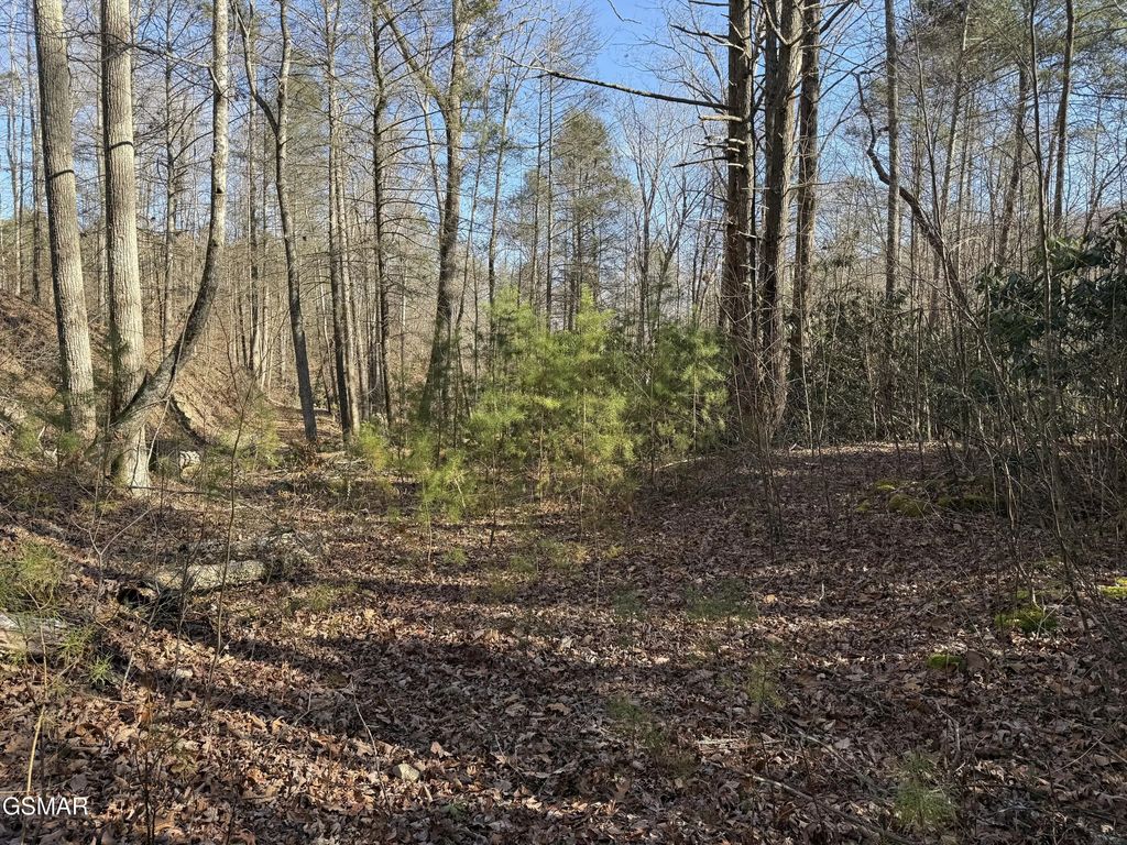 805 Bogard Creek Road, Cosby