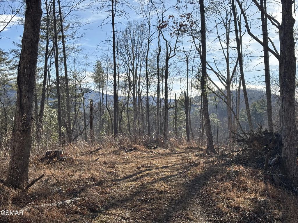 Tract 1 Bull Mountain Road, Del Rio