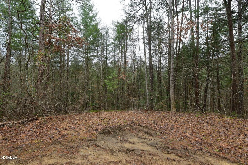 Lot 23 Alpine Ridge Way, Sevierville