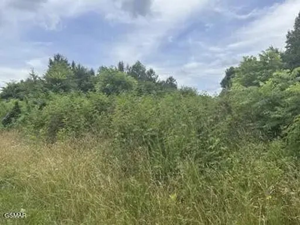 Saddleridge Drive, Speedwell
