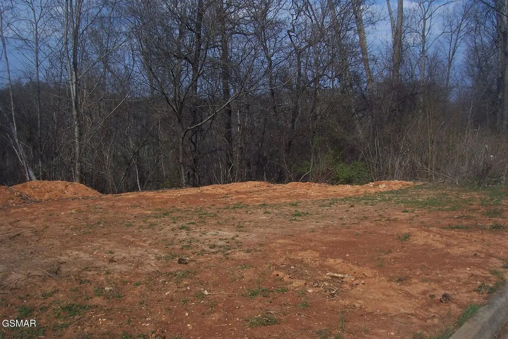 Lot 141 Low Valley Rd Road, Dandridge
