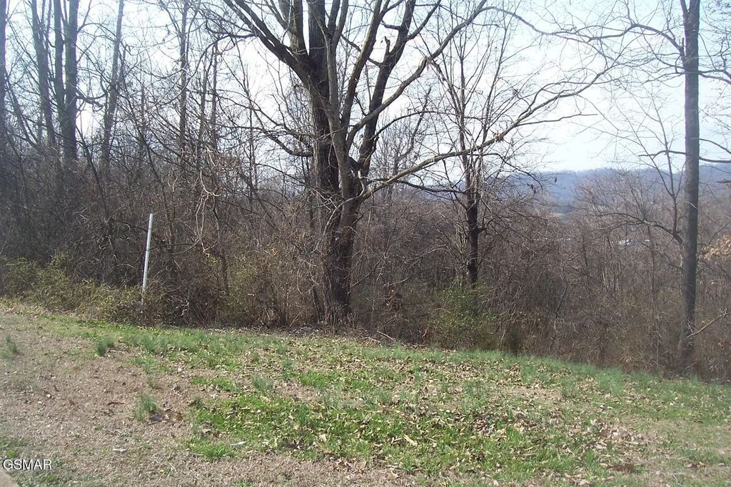 Lot 142 Low Valley Road, Dandridge