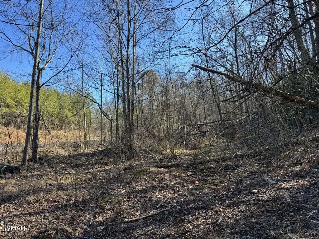 Lot 27 Blue Springs Way, Newport