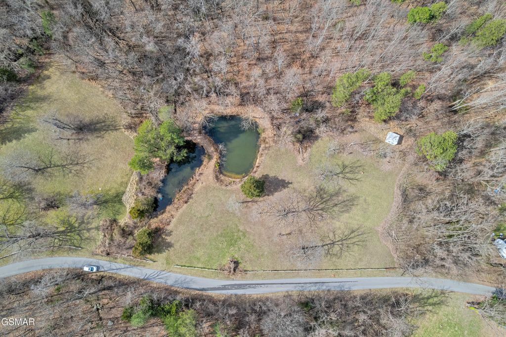 Collier Loop, Dandridge