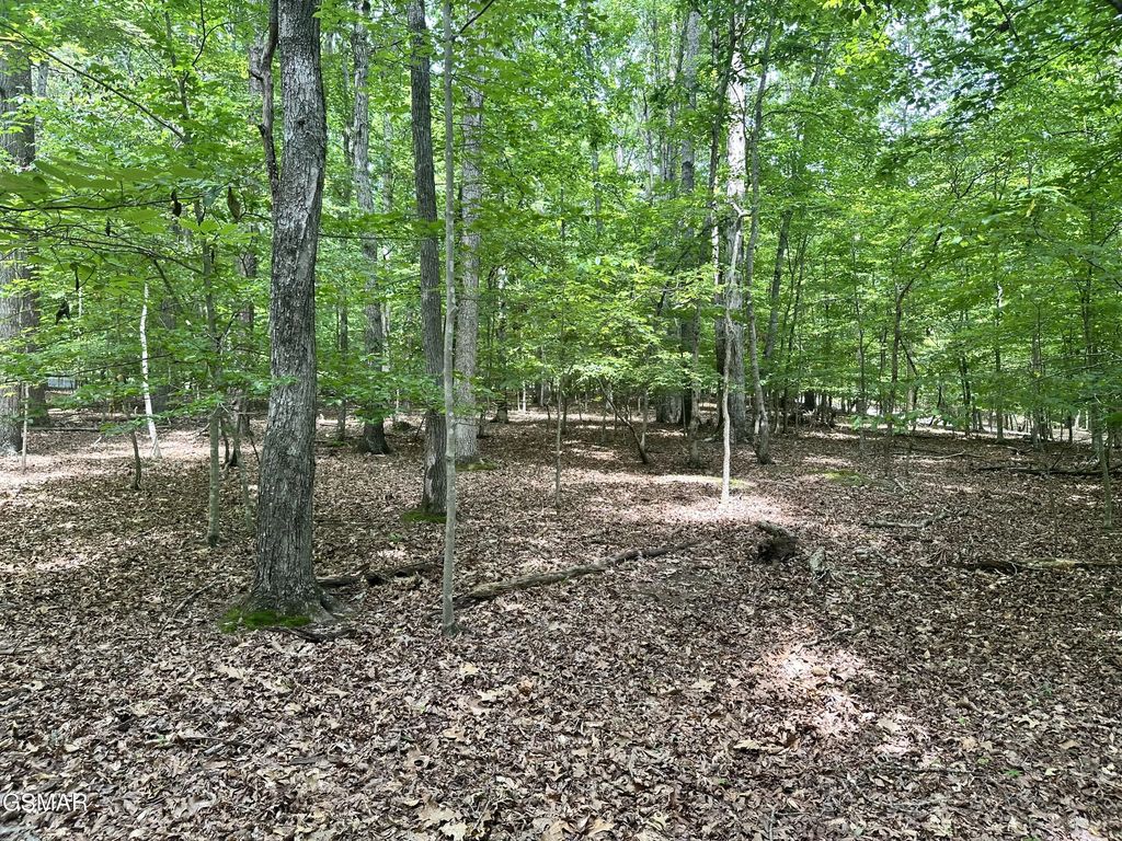 Tract 8 Woods Ridge Road, Dandridge