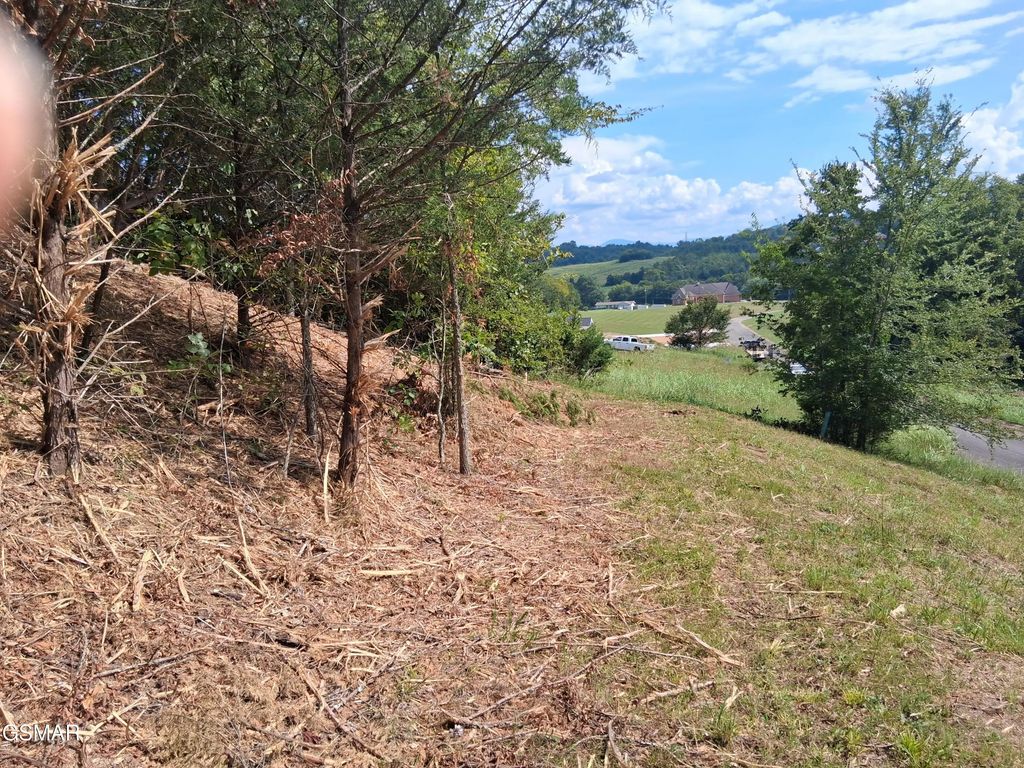 Lot 29 Splendor Way, Parrottsville