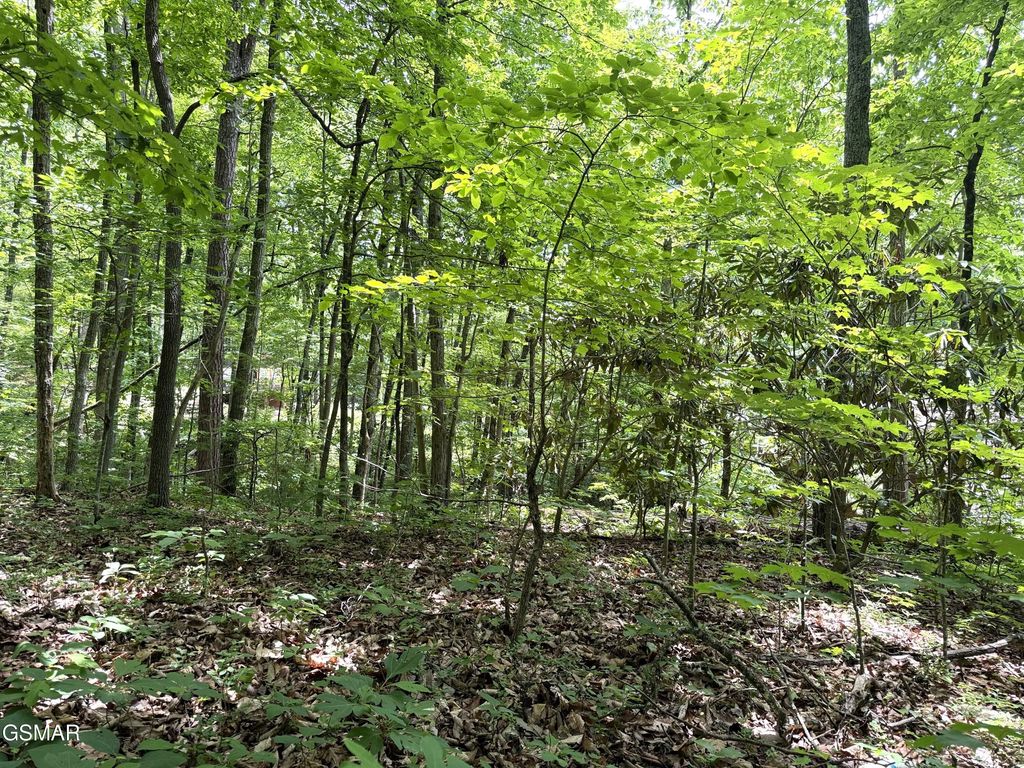 Lot 10 Swan Saddle, Sevierville