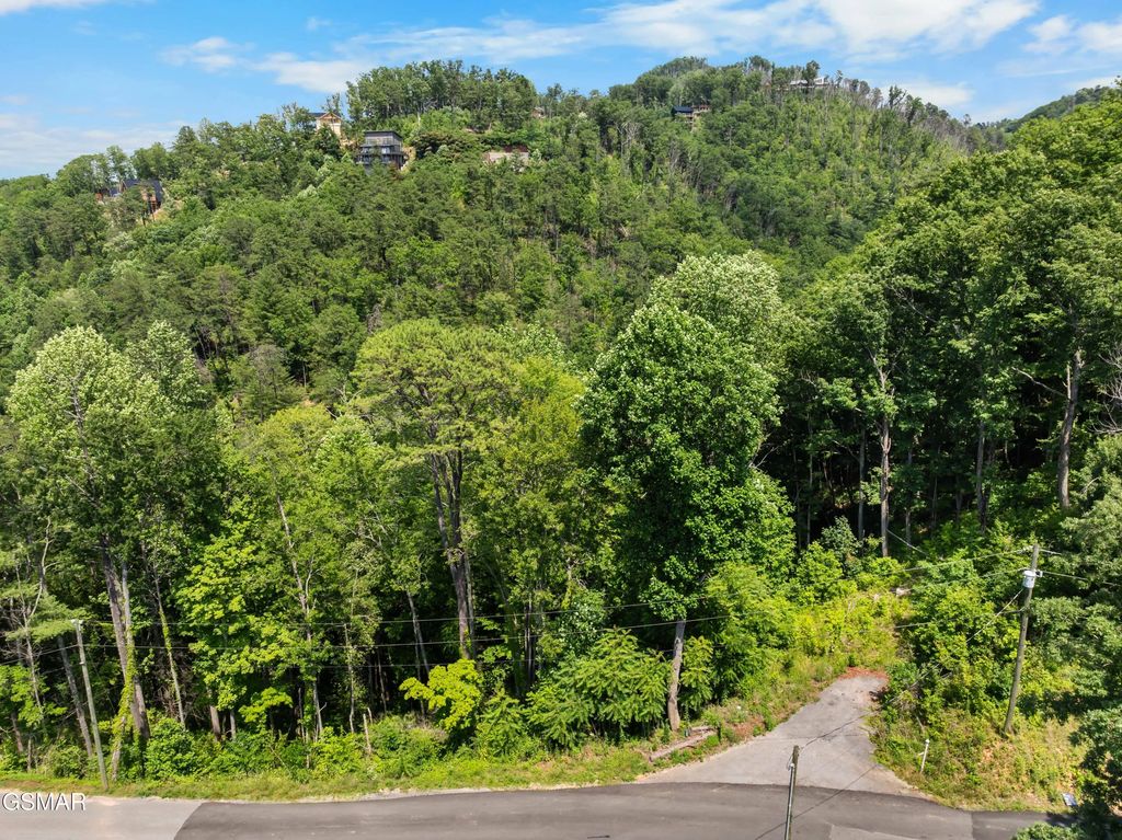 3278 Emerald Springs Loop, Sevierville