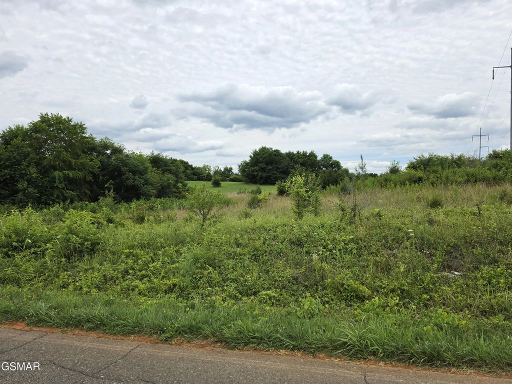 Lot 18 Baker Springs Road, White Pine