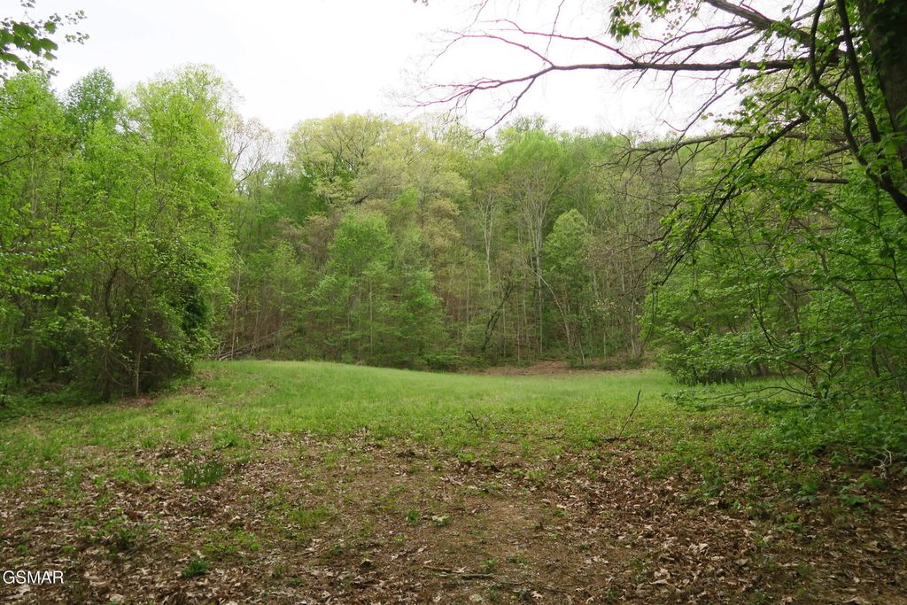 250 Mountain Side Lane, Rocky Top