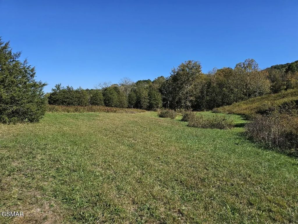 Lot 35 Shoreline Vista, Sharps Chapel