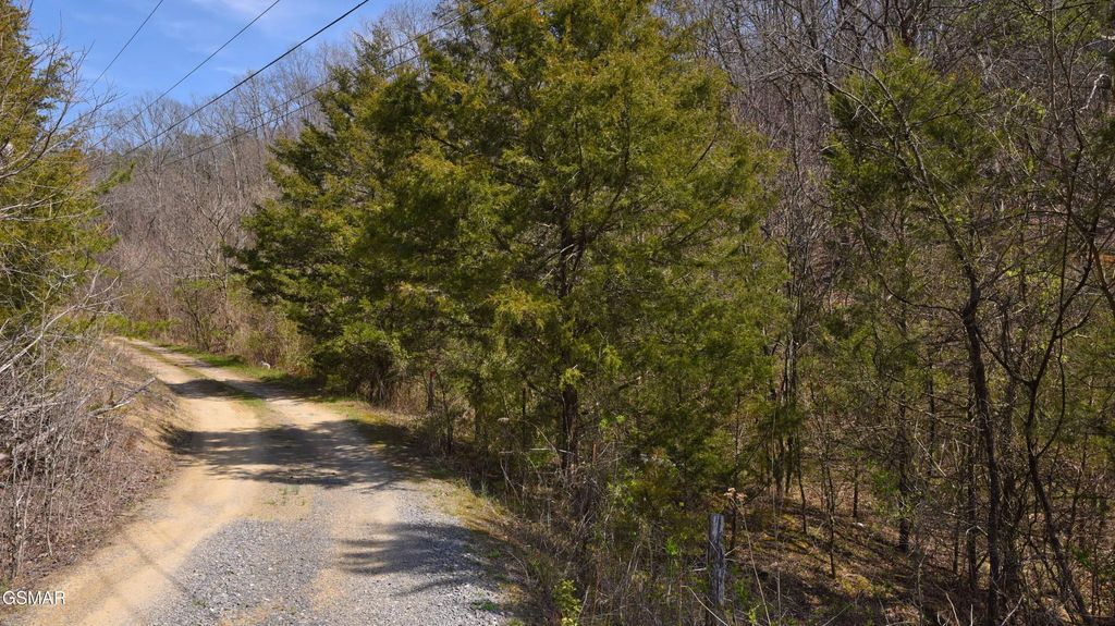 912 Cooley King Road, Kodak