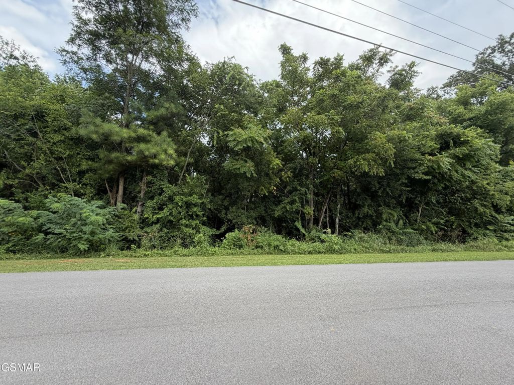 Lot 16 Sunrise Boulevard, Kodak