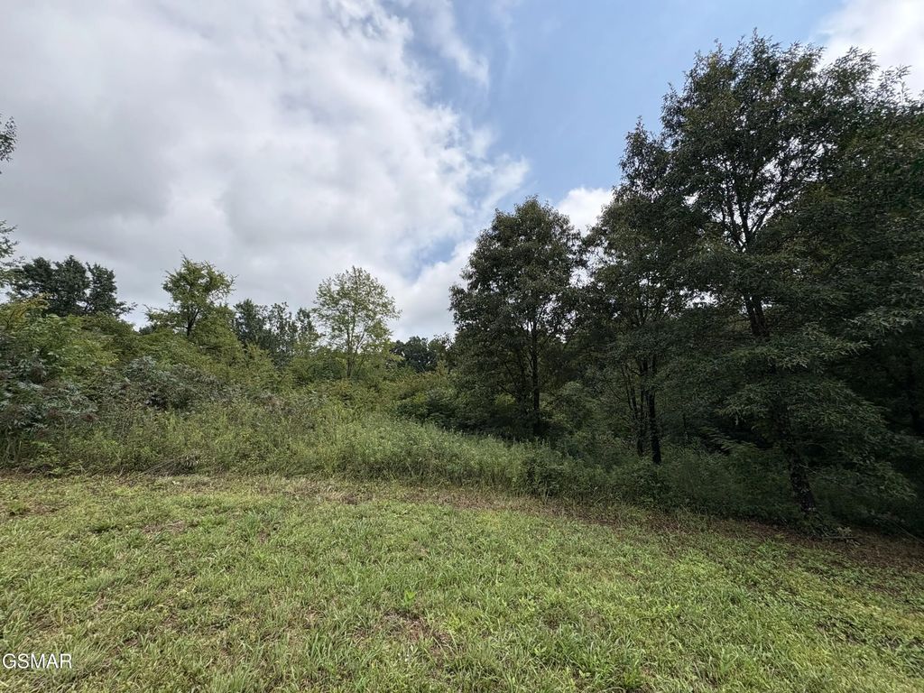 Lots 3 & 4 Midway Road, Strawberry Plains