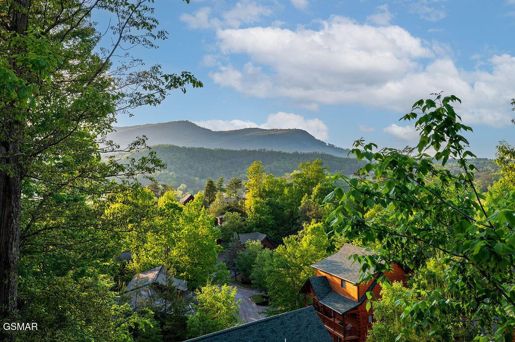 Listing photo for 2023 Bear Creek Way, Pigeon Forge, TN