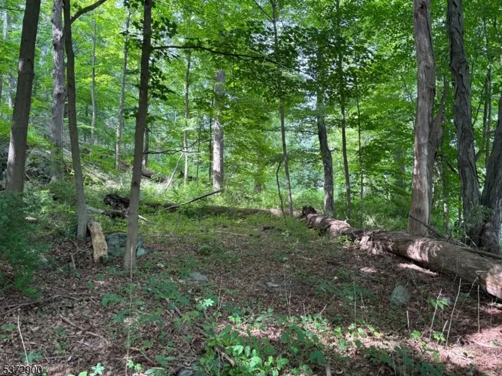 300 Alphano Road, Allamuchy Twp.