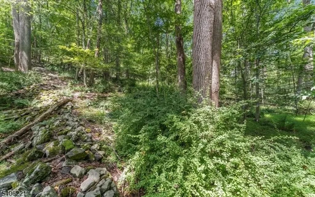 00 Sweet Hollow Rd, Holland Twp.