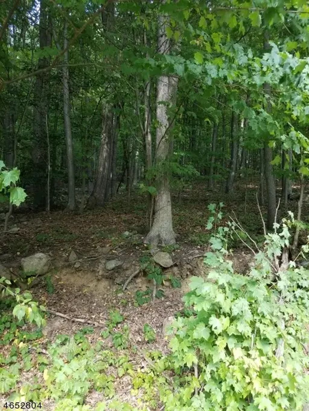 1128 Route 10, Randolph Twp.