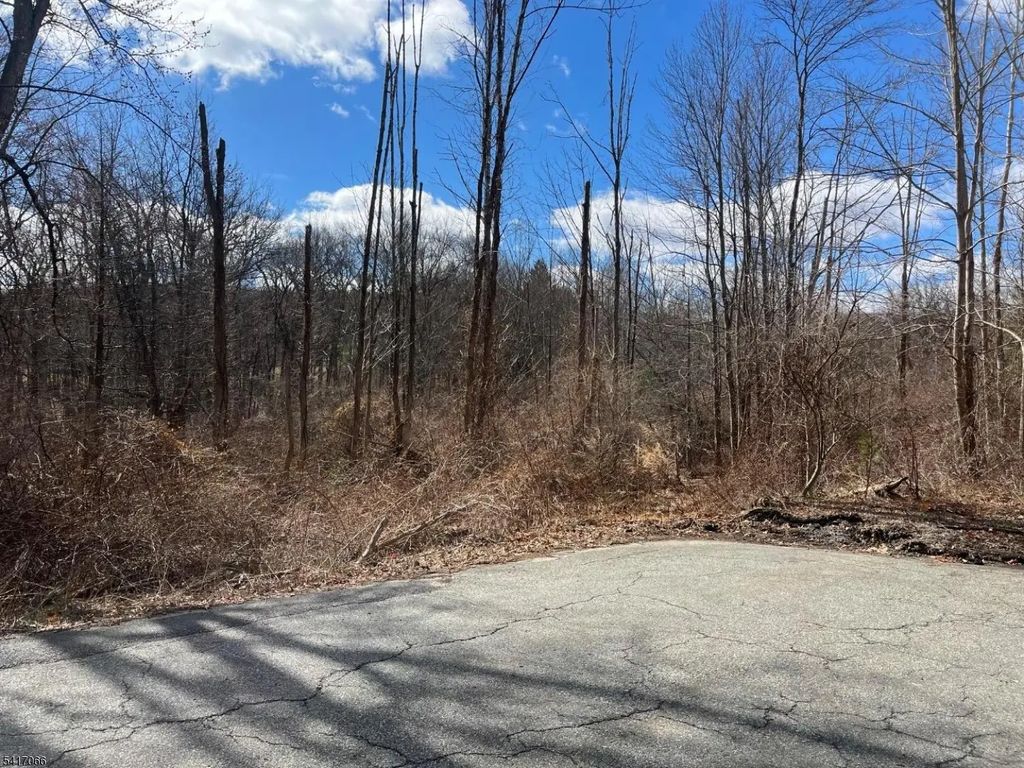 221 Old Center Grove Rd, Randolph Twp.