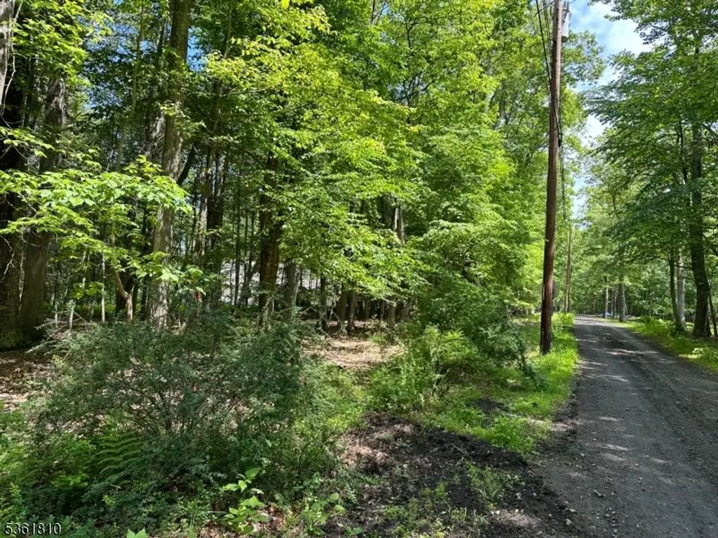 0 Devita Rd, Sandyston Twp.