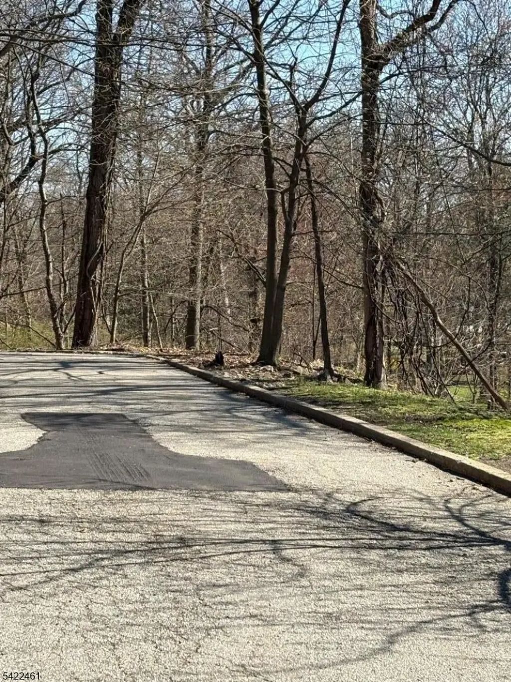 38 Dalewood Rd, Wayne Twp.