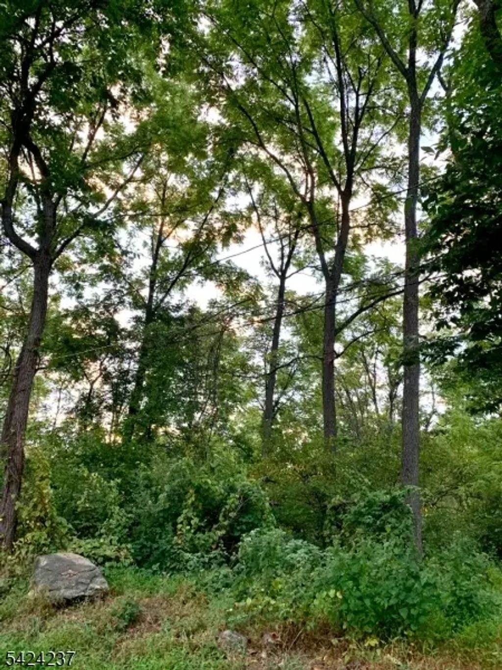00 W Valley Brook Rd, Washington Twp.