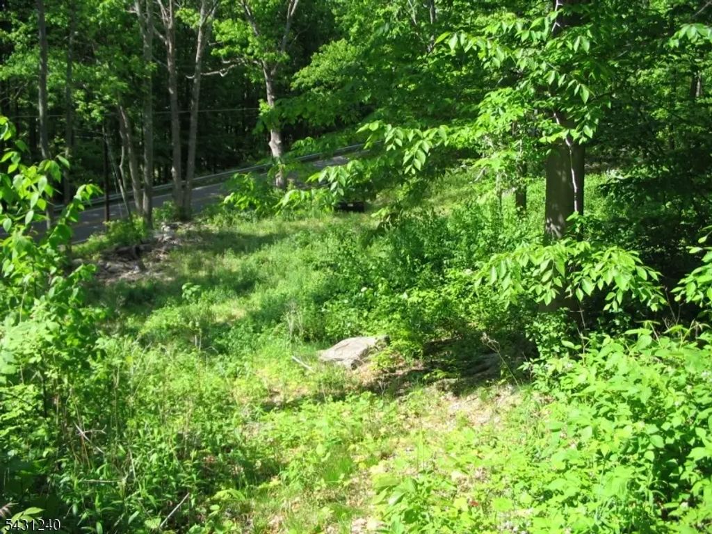 67 Pidgeon Hill, Wantage Twp.