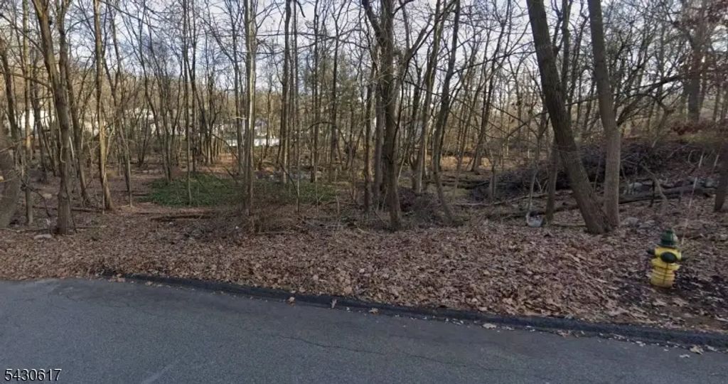 25 Budd Ave, Mount Olive Twp.