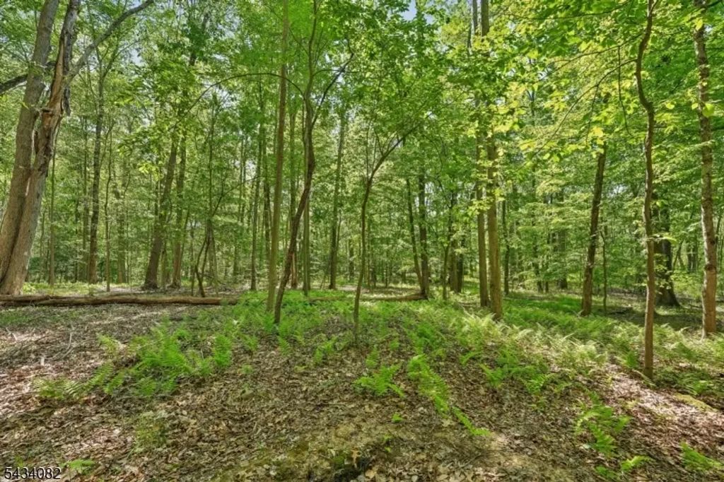 0 Homestead Rd, Long Hill Twp.