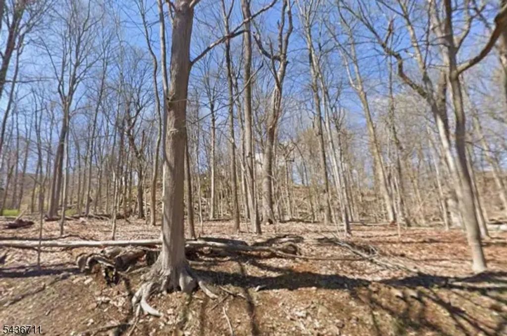845 Johnston Dr, Watchung Boro