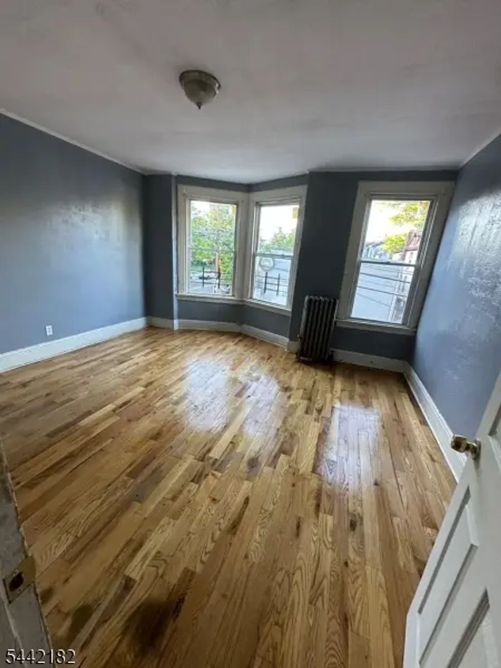 132 Chester Ave, Newark City