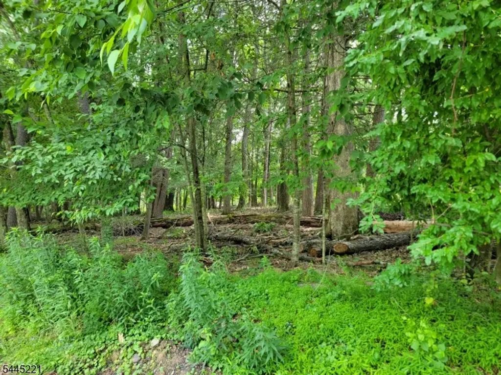 231 Old Chimney Ridge Rd, Montague Twp.
