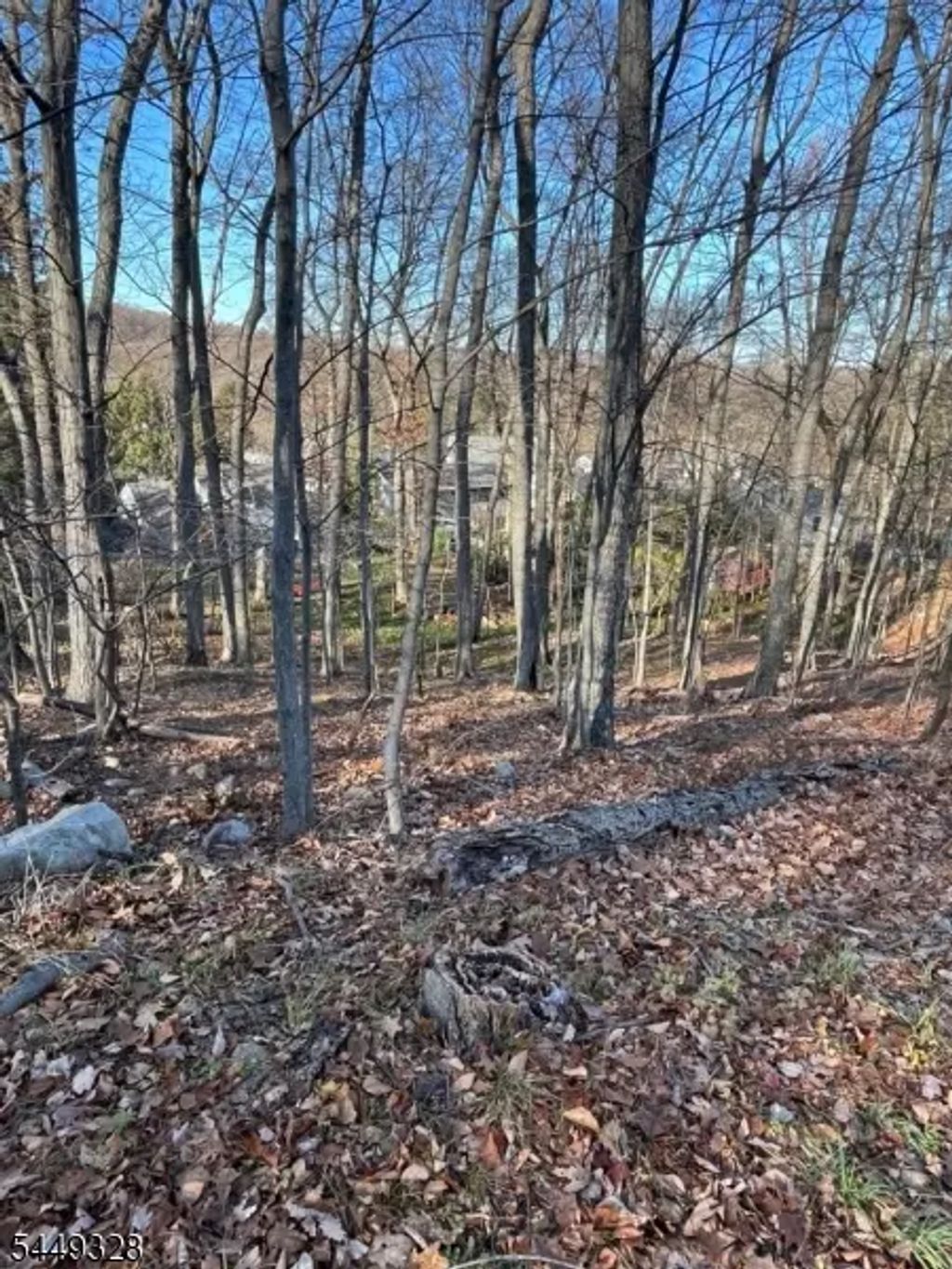22 Mountain Rd, Denville Twp.